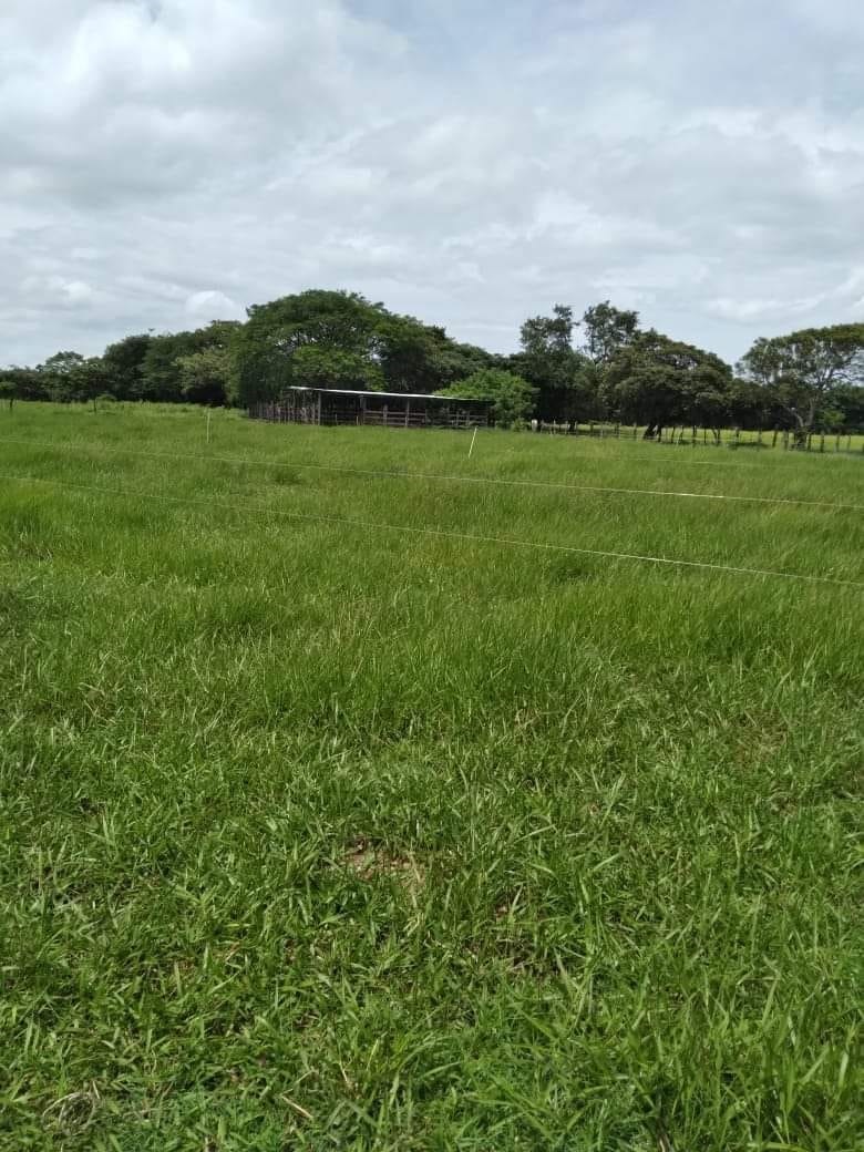 EN GUAYABO DE BAGACES PARA PROYECTO CON AGUAS TERMALES, TURISMO Y TAJO - imagen 10