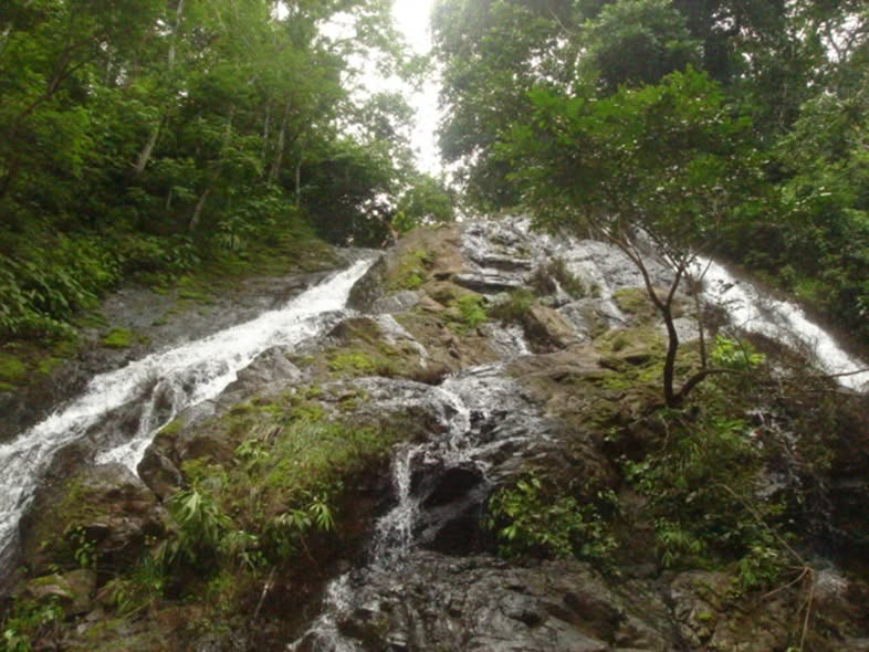 Finca de 82 Hectáreas con Catarata y Vistas al Pacífico en Cóbano - imagen 3