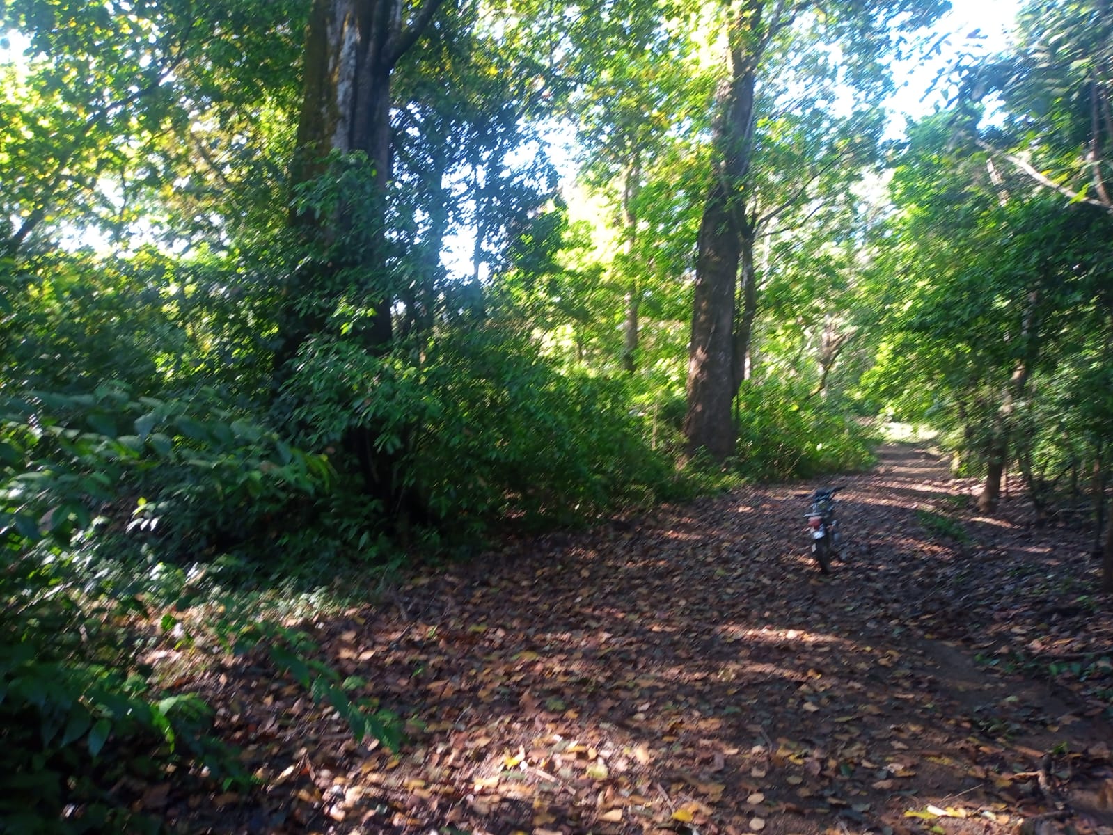 Finca en Cuajiniquil, Santa Cruz, Guanacaste - imagen 4