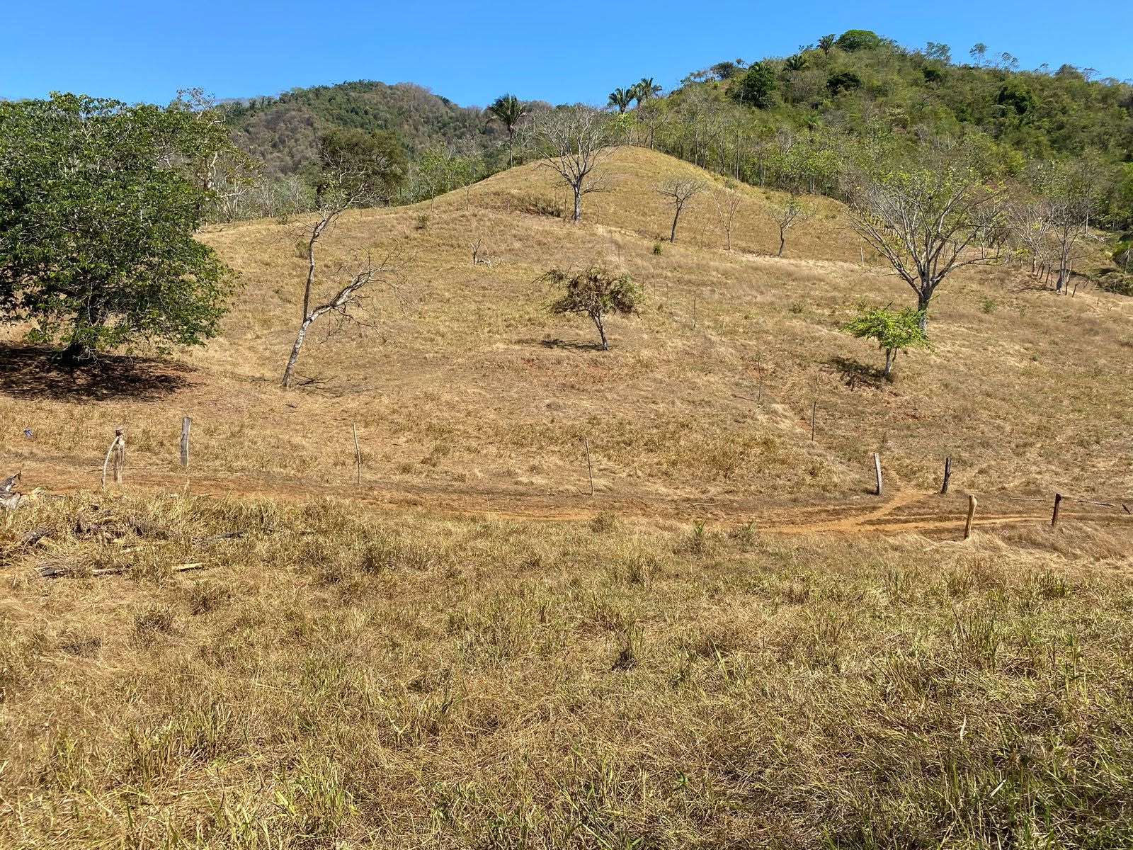 Finca Paradisíaca de 71 Hectáreas en Cóbano, Península de Nicoya - imagen 3